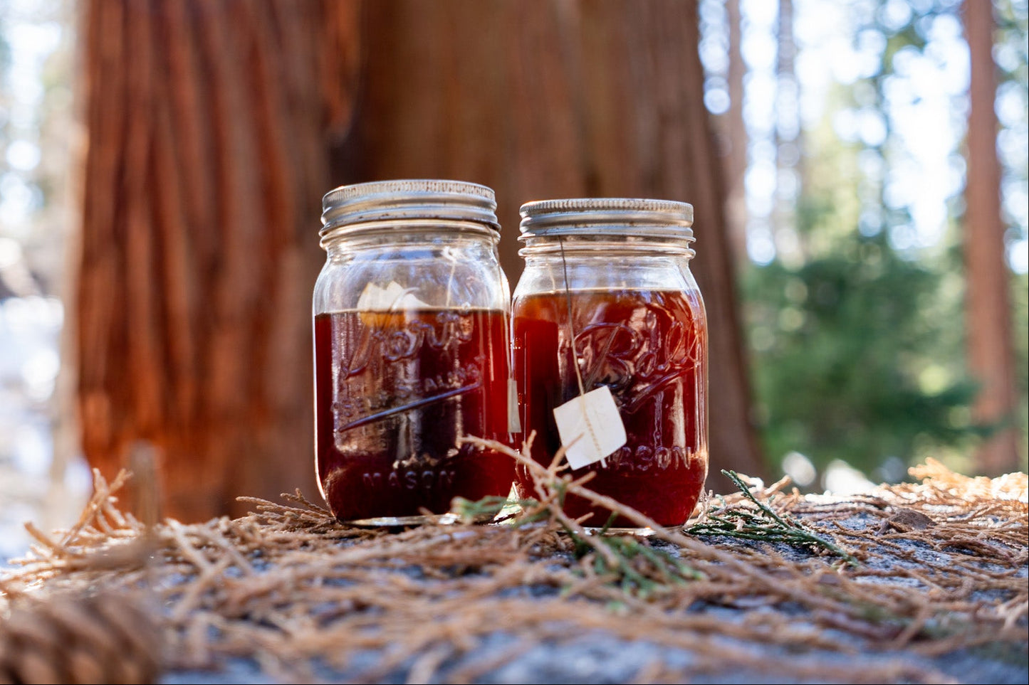 Bear Box Brew Bags - "Sequoia" Guatemalan Single Origin Medium Roast