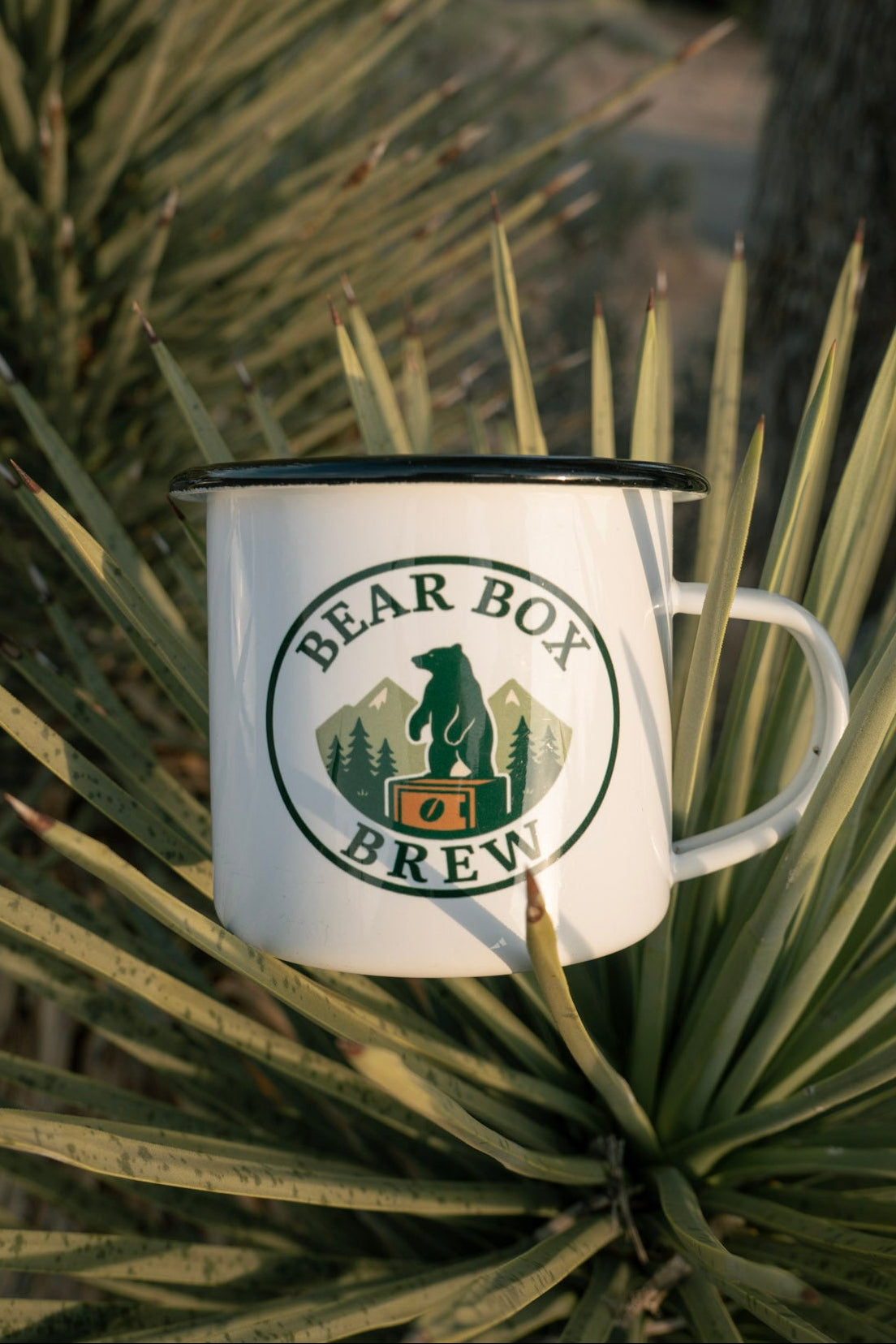 White mug with 'Bear Box Brew' logo on a plant