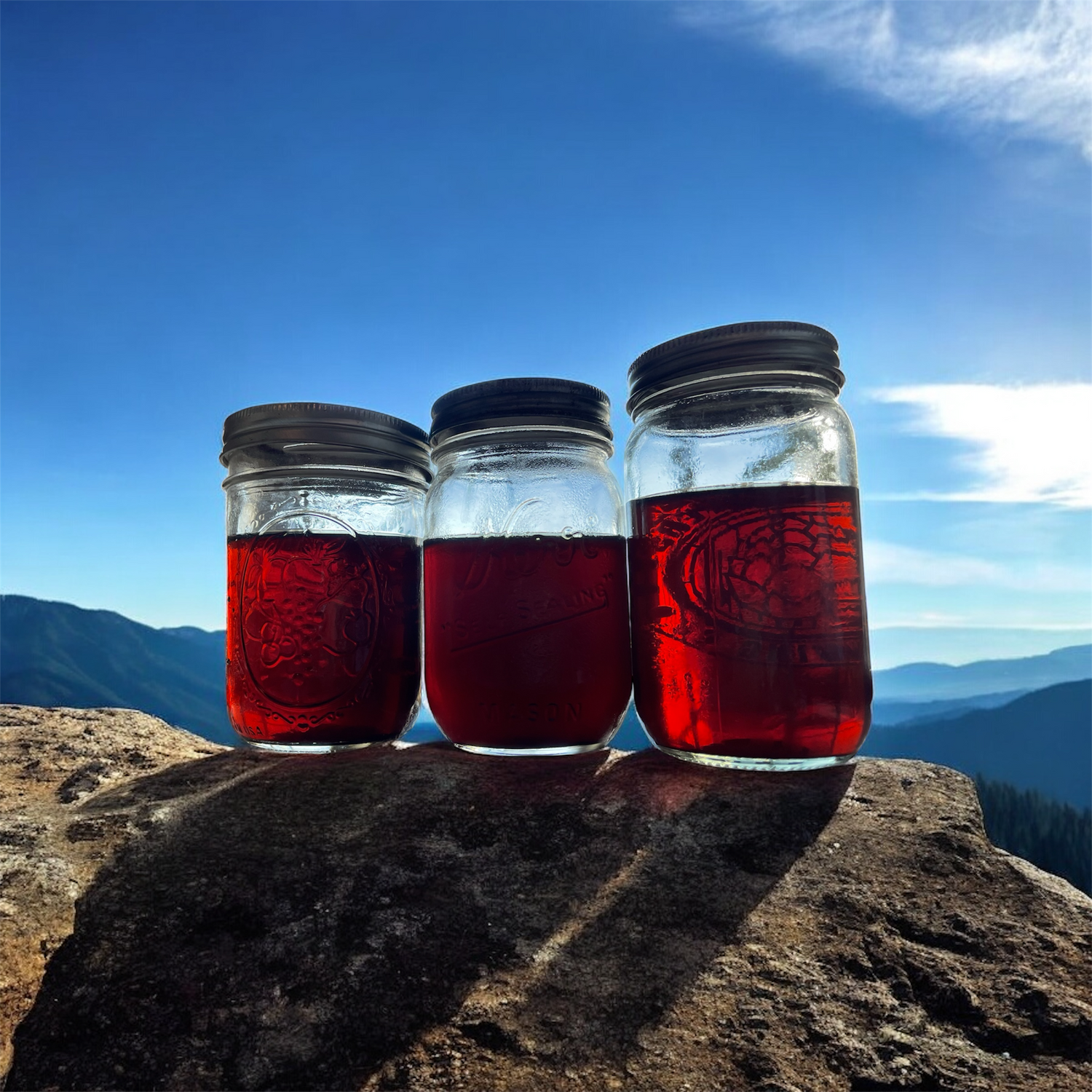 bear box brew coffee in mason jars atop a mountain peak with the sun glistening through the caramel colored coffee