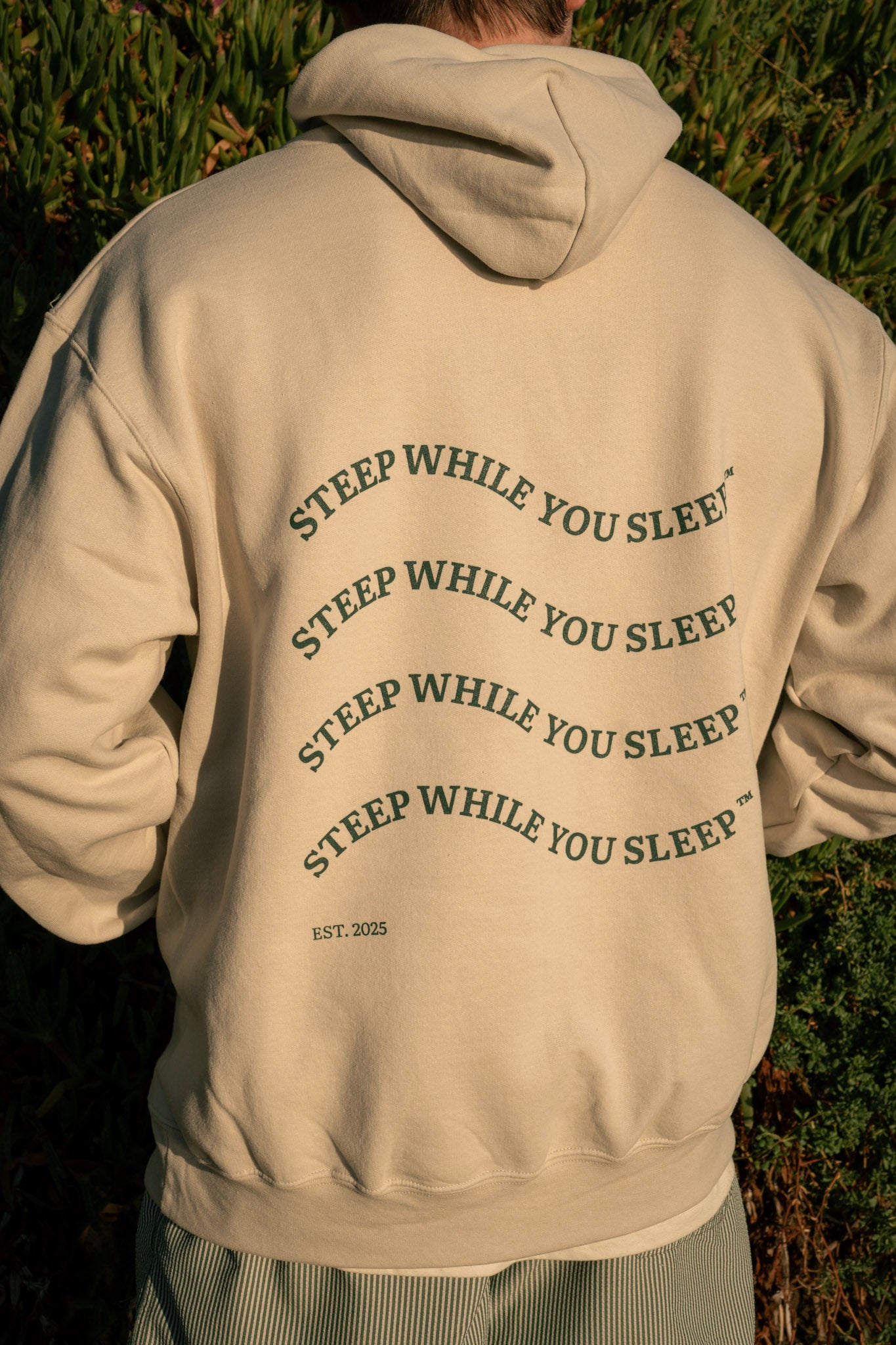 Champion Bear Box Brew Logo Hoodie