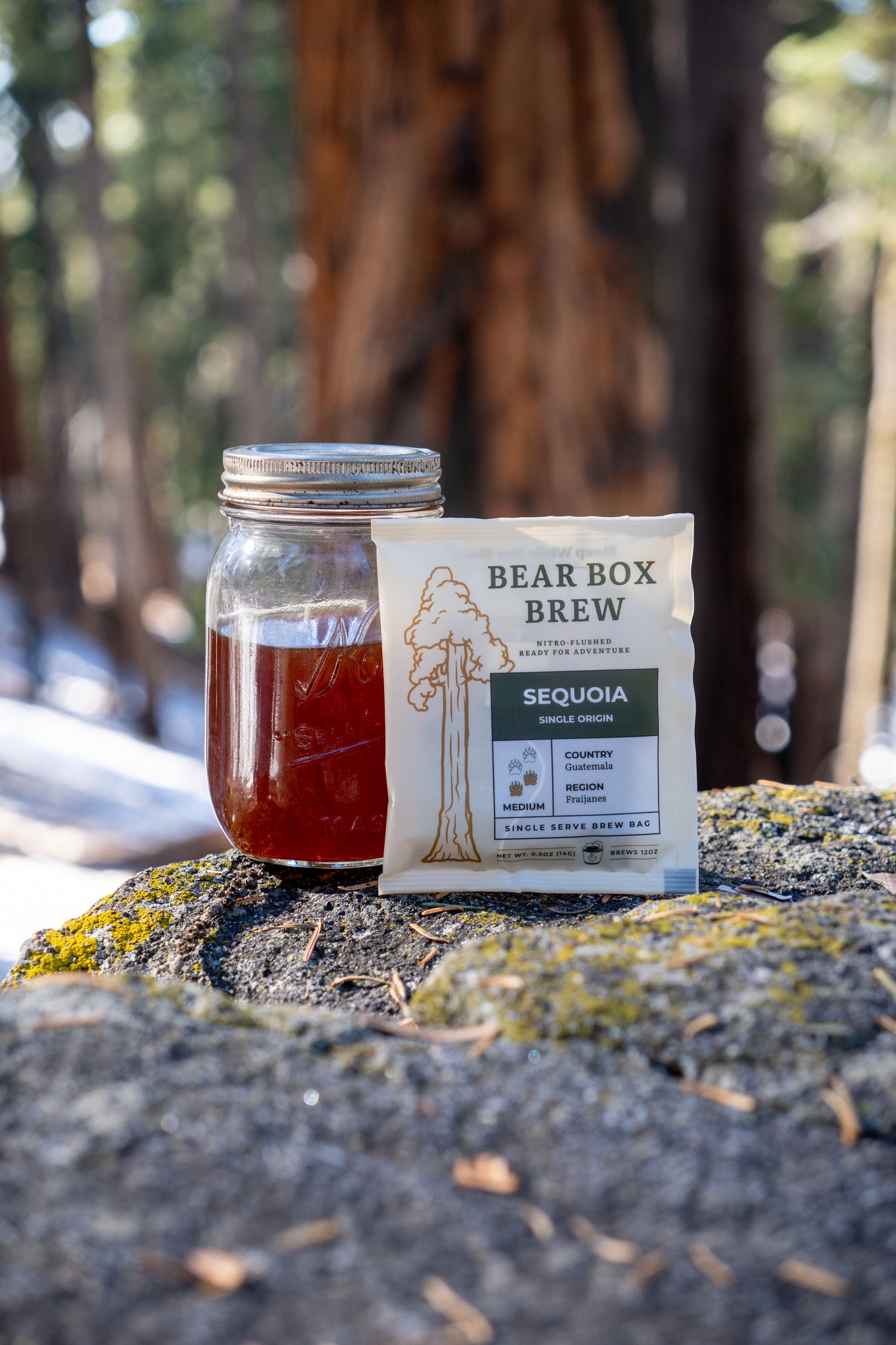 Mason jar with bear box brew on a rock with trees in the background