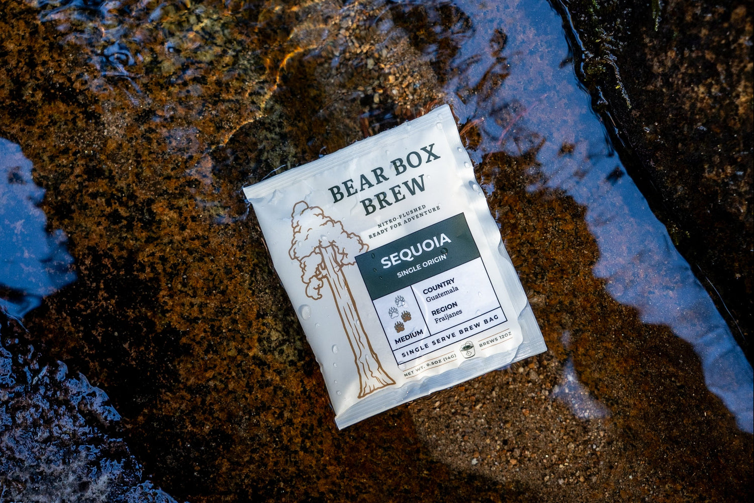 Bear Box Brew Sequoia coffee package on a textured surface