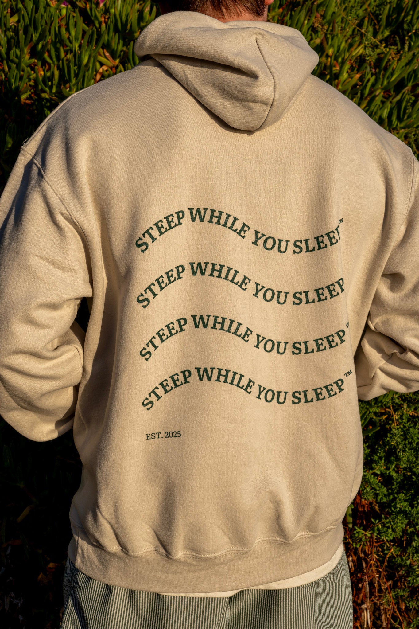 Champion Bear Box Brew Logo Hoodie