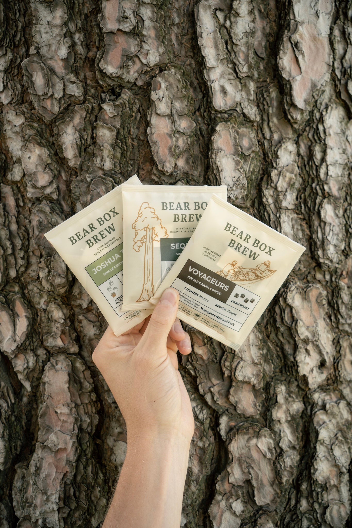 Single-Origin 12 Count Variety Pack