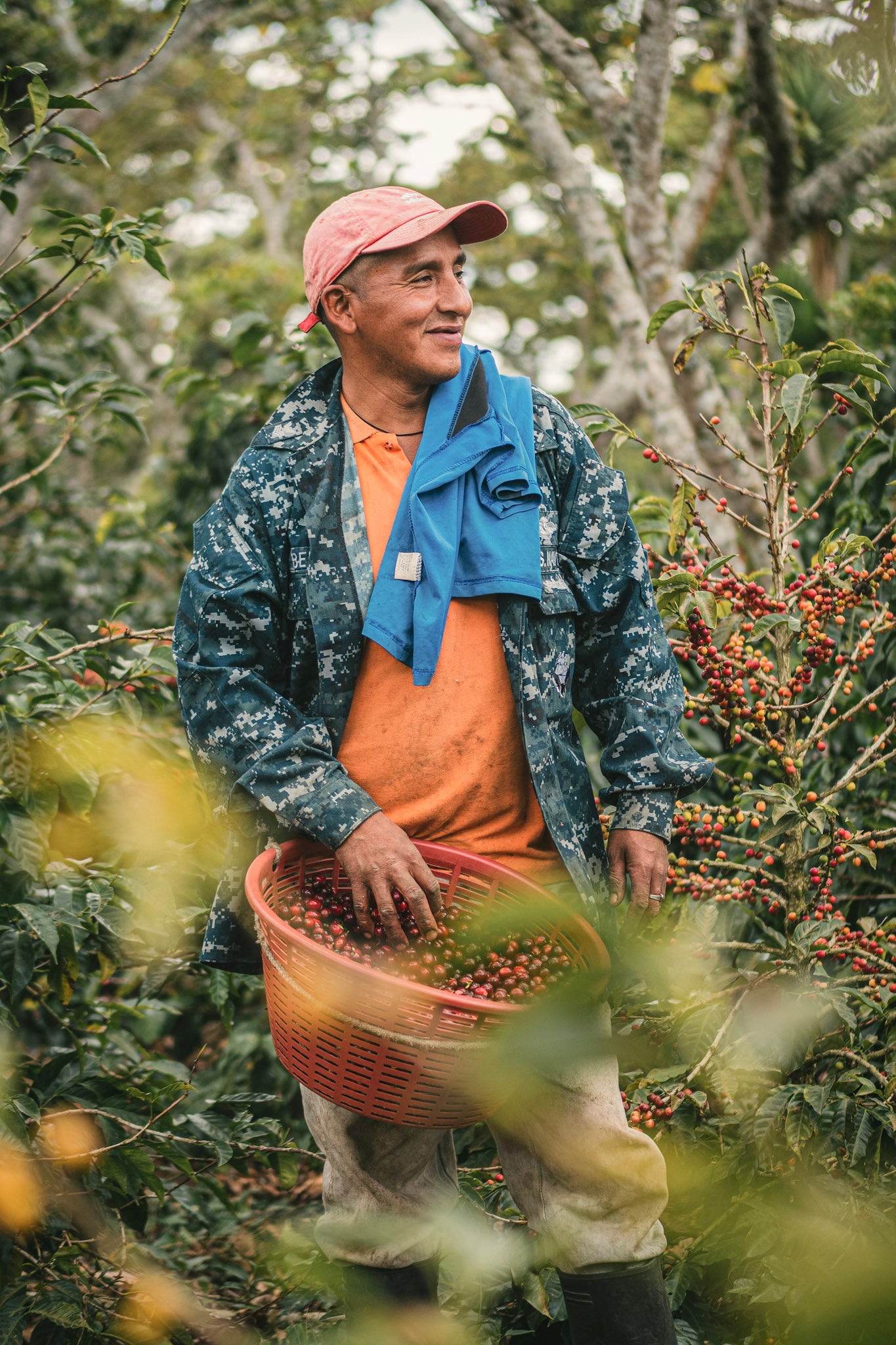 Man in a coffee plantation holding a basket of coffee berries