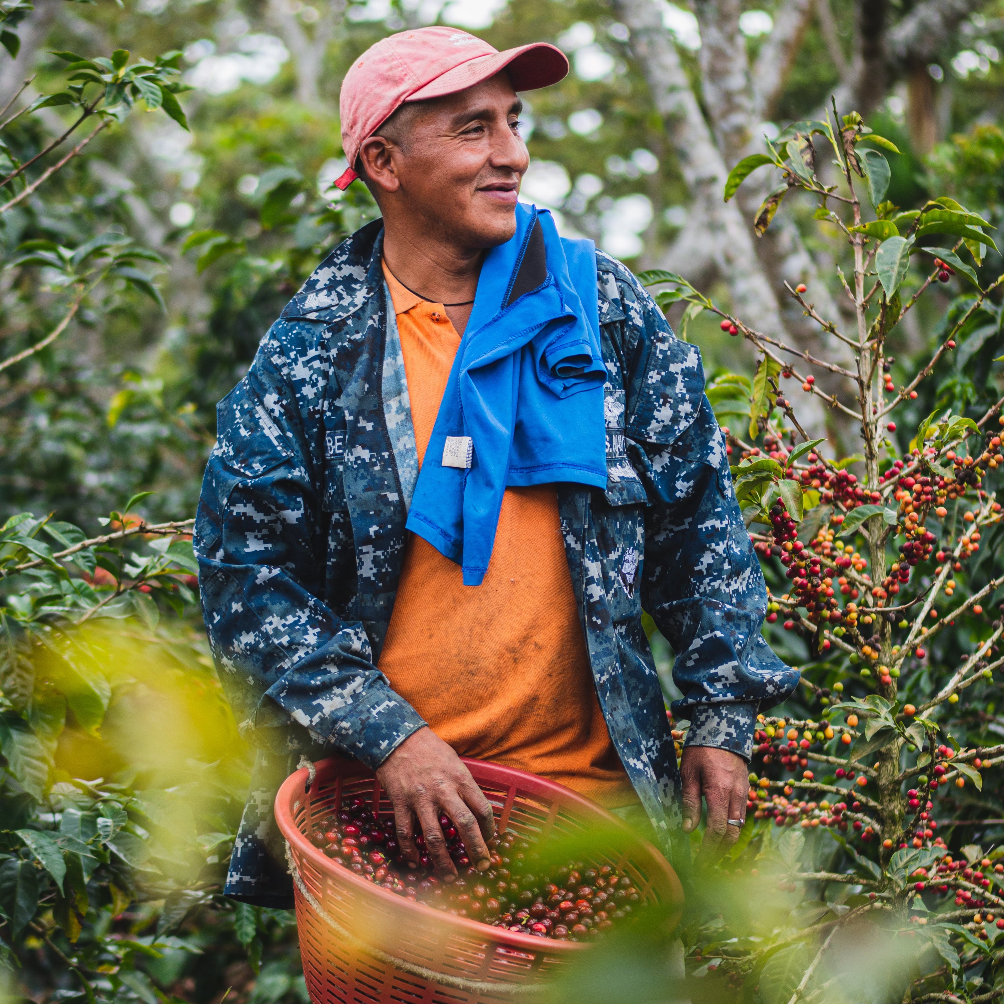 A coffee farmer with a basket of freshly picked coffee beans on the farm.